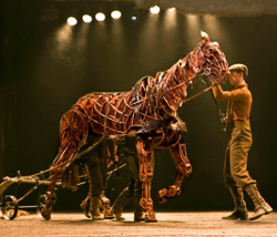 War Horse Growing Up