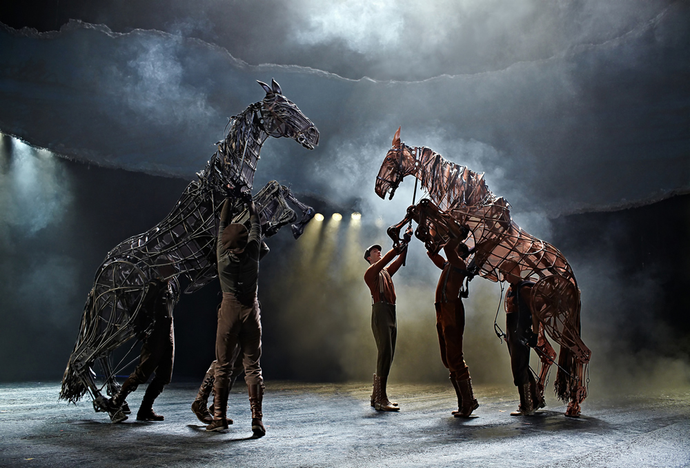 War Horse War Image