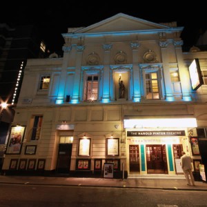 Harold Pinter theatre night