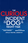 Curious Incident of the Dog - 100x150