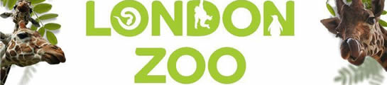 London-Zoo-Banner